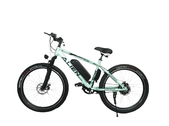 Bolt91 Alien Campus eCycle