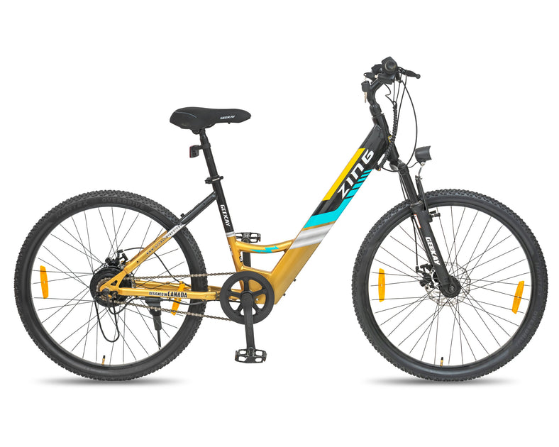 Bolt91 Zing Campus eCycle